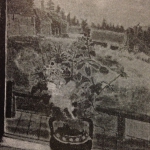 Country Flowers 40 x 30 1946