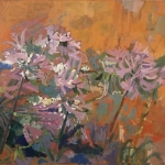 Garden. . .Agapanthus 26x33 1975-78