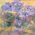 "AGAPANTHUS ORCHIDS" 26 X 32 1975/76