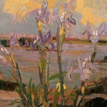 Iris in Maine 24 x 35 1975