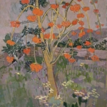 Ashtree 34x28 1979-80