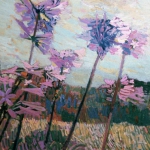 Agapanthus VI 40 x 30 1979