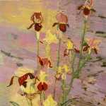Iris 40 x 30 1979