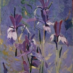 Iris in the Fields 34x29 1986